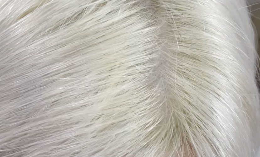 ブリーチ1〜2回で大体の髪色が作れるミザのカラー施術は他と何が違うの？→改めて解説します！